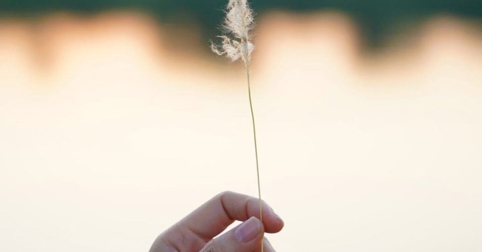 Gentle hands holding a delicate feather against a serene lake background.